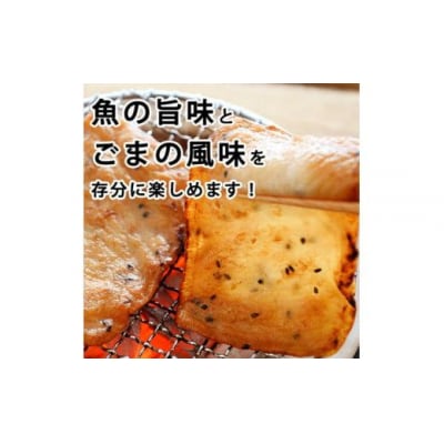 ごま天 12枚 練り物 天ぷら おつまみ おかず さつまあげ さつま揚げ 個包装 小分け