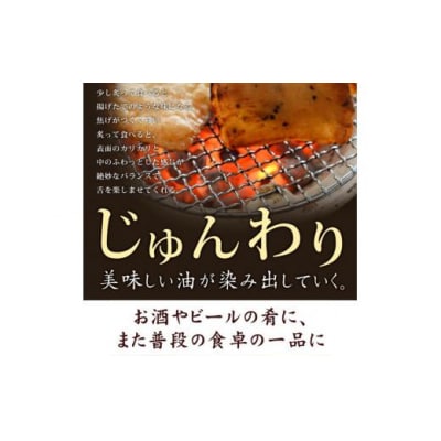 ごま天 12枚 練り物 天ぷら おつまみ おかず さつまあげ さつま揚げ 個包装 小分け