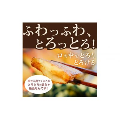 ごま天 12枚 練り物 天ぷら おつまみ おかず さつまあげ さつま揚げ 個包装 小分け