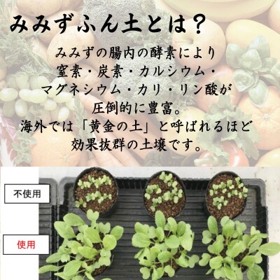 堆肥 5L (2.5kg) 肥料 たい肥 みみず ミミズ みみず太郎