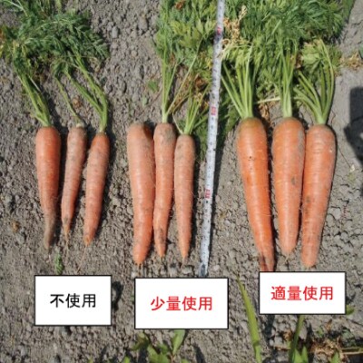 堆肥 5L (2.5kg) 肥料 たい肥 みみず ミミズ みみず太郎