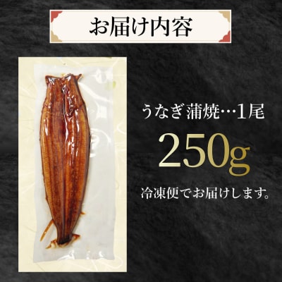 特大 うなぎ 250g 1尾 冷凍 蒲焼き うな重 ひつまぶし 鰻 丑の日 ※配送不可地域あり