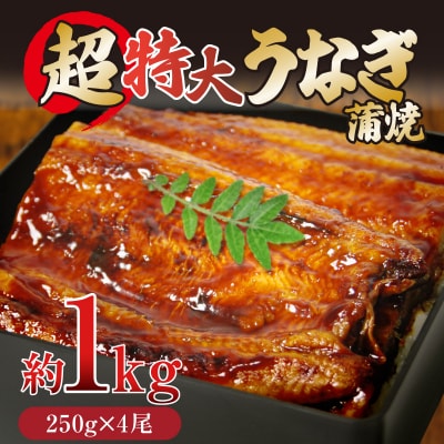 特大 うなぎ 1kg 250g×4尾 タレ付き 冷凍 蒲焼き うな重 ひつまぶし 鰻 丑の日 