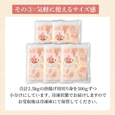  唐揚げ 2.5kg 500g×5パック 冷凍 国産