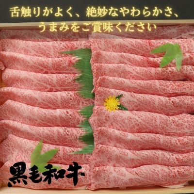 牛肉 しゃぶしゃぶ 500g 冷凍 ロース トモサンカク 