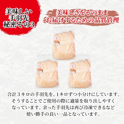 手羽先 3kg 冷凍 国産 徳島県 阿波尾鶏 塩ガーリック味