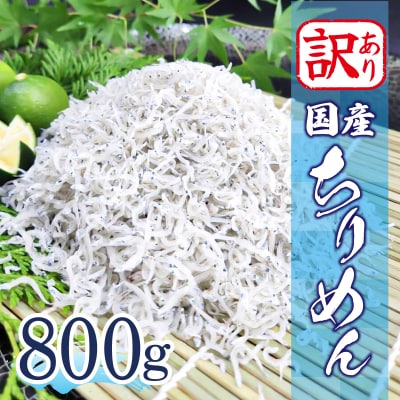 訳あり ちりめん 800g 冷蔵 国産 新鮮 鮮度 訳アリ 