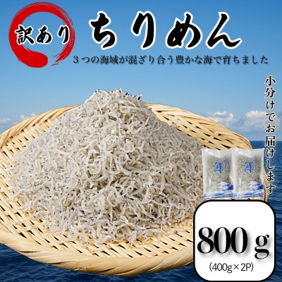 訳あり ちりめん 800g 冷蔵 国産 新鮮 鮮度 訳アリ 