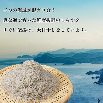 訳あり ちりめん 800g 冷蔵 国産 新鮮 鮮度 訳アリ 