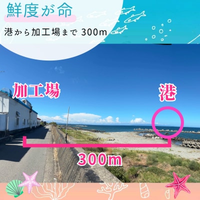 【6月末から12月中旬まで発送】しらす 冷蔵 1kg (500g×2パック) 徳島 小松島
