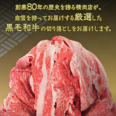  切り落とし 1kg 冷凍 500g × 2パック 小分け 個包装 牛肉 和牛 黒毛和牛