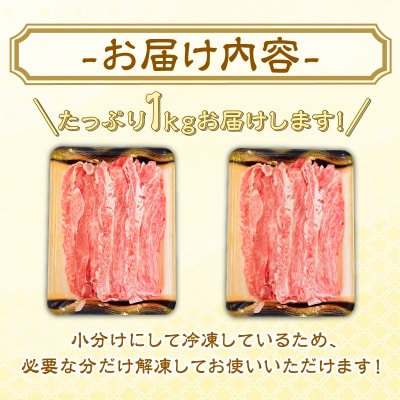  切り落とし 1kg 冷凍 500g × 2パック 小分け 個包装 牛肉 和牛 黒毛和牛