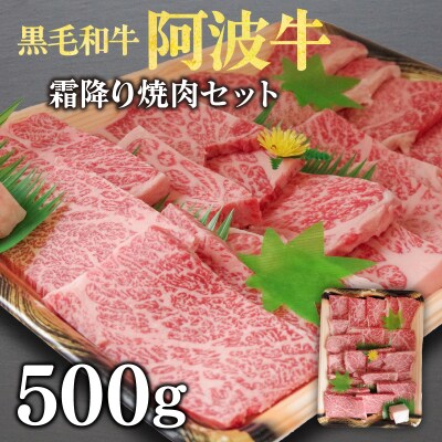  牛肉 焼肉 セット 500g 国産 厳選 黒毛和牛 冷凍 