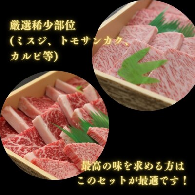  牛肉 焼肉 セット 500g 国産 厳選 黒毛和牛 冷凍 