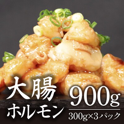ホルモン (大腸) 阿波牛 300g×3パック 小分け 計900g 国産 牛 黒毛和牛