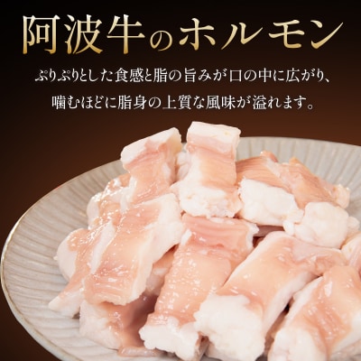 ホルモン (大腸) 阿波牛 300g×3パック 小分け 計900g 国産 牛 黒毛和牛