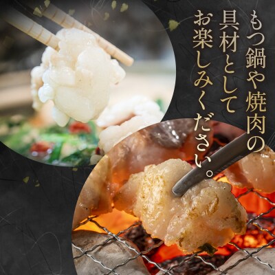 ホルモン (大腸) 阿波牛 300g×3パック 小分け 計900g 国産 牛 黒毛和牛