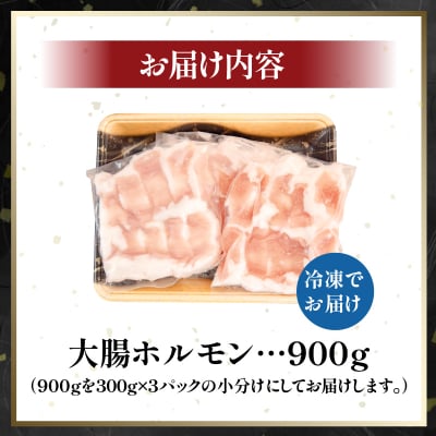 ホルモン (大腸) 阿波牛 300g×3パック 小分け 計900g 国産 牛 黒毛和牛