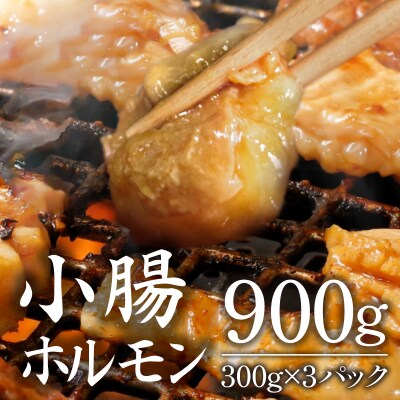 ホルモン (小腸) 阿波牛 300g×3パック 計900g 国産 牛 黒毛和牛
