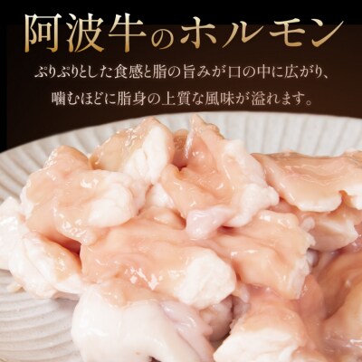 ホルモン (小腸) 阿波牛 300g×3パック 計900g 国産 牛 黒毛和牛