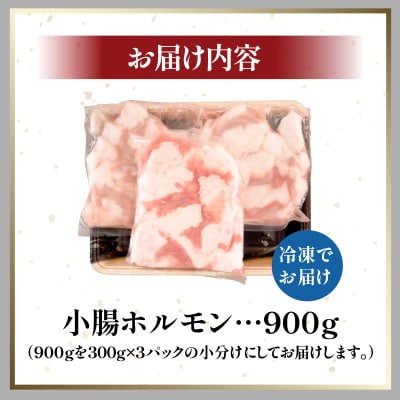 ホルモン (小腸) 阿波牛 300g×3パック 計900g 国産 牛 黒毛和牛