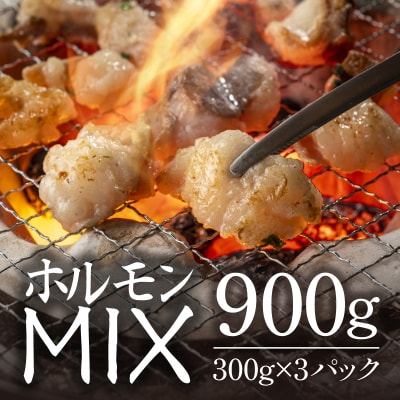 ホルモン (小腸×大腸) 阿波牛 300g×3パック 計900g 小分け 国産 牛 黒毛和牛