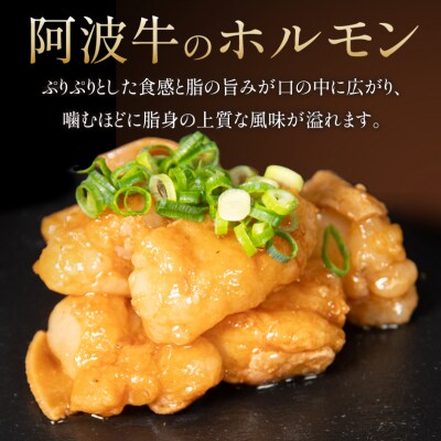 ホルモン (小腸×大腸) 阿波牛 300g×3パック 計900g 小分け 国産 牛 黒毛和牛