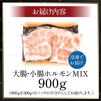 ホルモン (小腸×大腸) 阿波牛 300g×3パック 計900g 小分け 国産 牛 黒毛和牛