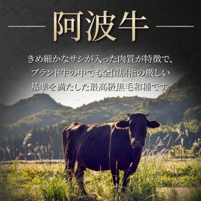 霜降り ブロック肉 500g 牛肉 国産 黒毛和牛 肉 ローストビーフ ステーキ BBQ キャンプ飯