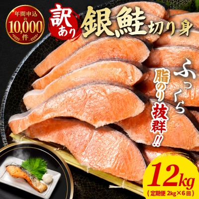 訳あり 鮭 定期便 6回 (2kg × 6回) 計12k 【北海道・沖縄・東北・離島への配送不可】
