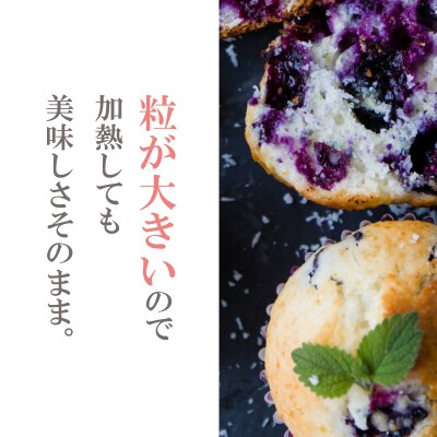 【2025年6月より順次発送】 ブルーベリー 600g (100g×6P) 徳島 小松島