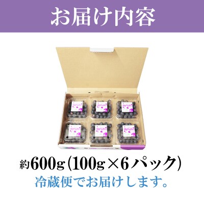 【2025年6月より順次発送】 ブルーベリー 600g (100g×6P) 徳島 小松島