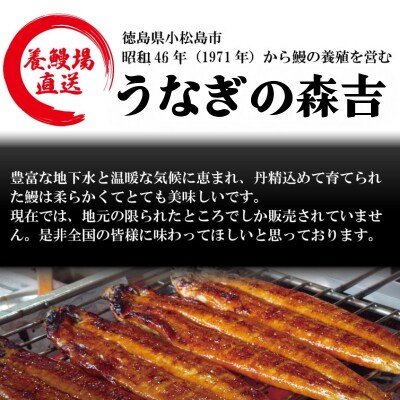 【2週間配送】 国産 うなぎ 蒲焼 2尾(約320g)冷蔵