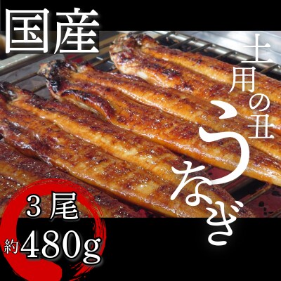【2週間配送】 国産 うなぎ 蒲焼 3尾(約480g)冷蔵 