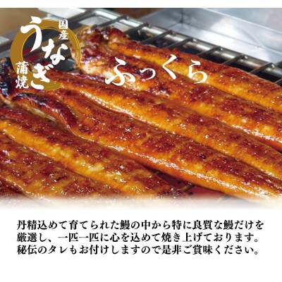 【2週間配送】 国産 うなぎ 蒲焼 3尾(約480g)冷蔵 