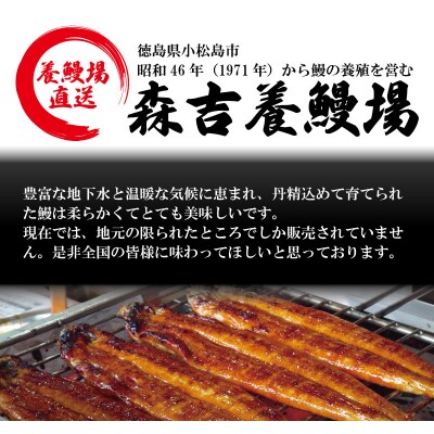 【2週間配送】 国産 うなぎ 蒲焼 3尾(約480g)冷蔵 