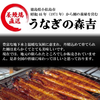 【2週間配送】 国産 うなぎ 蒲焼 5尾(約800g)冷蔵