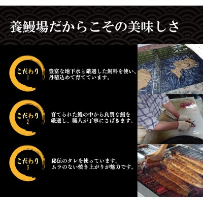 【2週間配送】 国産 うなぎ 蒲焼 5尾(約800g)冷蔵