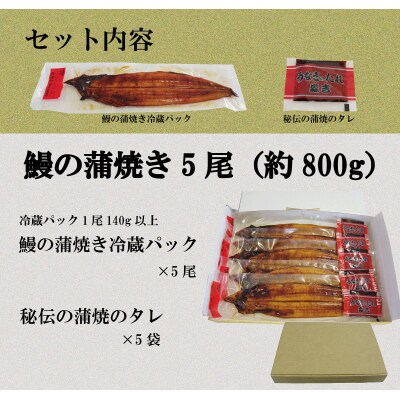【2週間配送】 国産 うなぎ 蒲焼 5尾(約800g)冷蔵