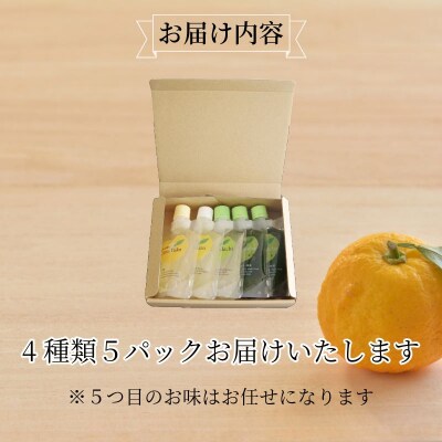 飲むゼリー　5本セット(4種₊1本)ゆず まっちゃ ゼリー 飲むゼリー 夏 ギフト お中元 爽やか 