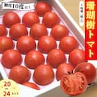 【2026先行受付】珊瑚樹トマト　S特選 約1kg【糖度10度以上】※2026年春発送<4月発送>