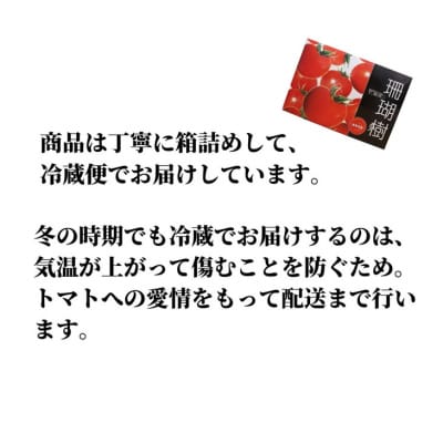 【2027年先行受付】珊瑚樹トマト S特選 約1kg【糖度10度以上】※2027年春発送<5月発送>