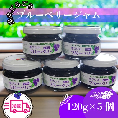 【2週間発送】 果肉ごろごろ ブルーベリージャム (120g×5個) ゲル化剤を不使用の手作りジャム
