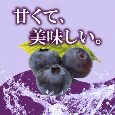 【2週間発送】 果肉ごろごろ ブルーベリージャム (120g×5個) ゲル化剤を不使用の手作りジャム