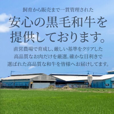国産 黒毛和牛 阿波牛 しゃぶしゃぶ 肉 500g 牛肉 赤身 イチボ ランプ 内 モモ シンタマ 