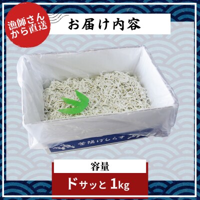【6月~12月初旬まで発送】 しらす 冷蔵 1kg (小分けなし) 徳島 小松島