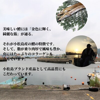 鱧 国産 ハモ 切り身 500g 冷凍 骨切り カット済 産地直送 魚介 海産物 魚 切り身 天然鱧