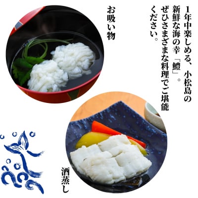 鱧 国産 ハモ 切り身 500g 冷凍 骨切り カット済 産地直送 魚介 海産物 魚 切り身 天然鱧