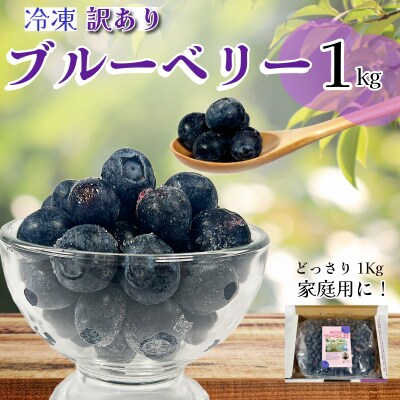 冷凍 ブルーベリー　約 1kg 訳あり  四国 徳島 小松島  産地直送