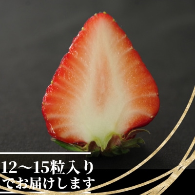いちご 紅ほっぺ 贈答用 大粒 12～15粒入り 約450g 冷蔵 朝採れ 苺 春 旬 四国 徳島 